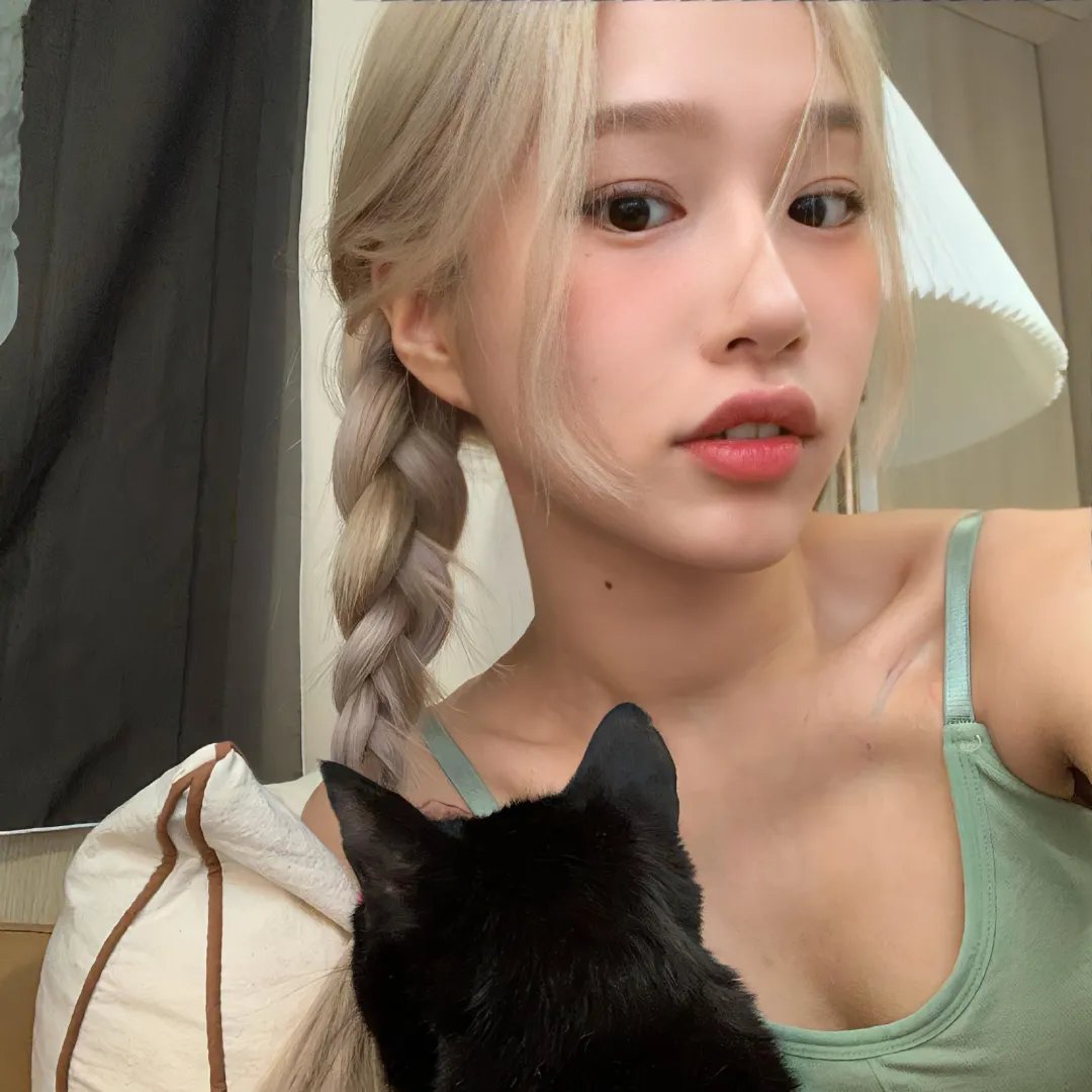 东方卫视月光露营会